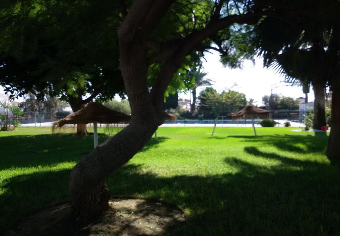 Apartamento en Benalmádena - Solpor de SteraM FLATS Benalmadena