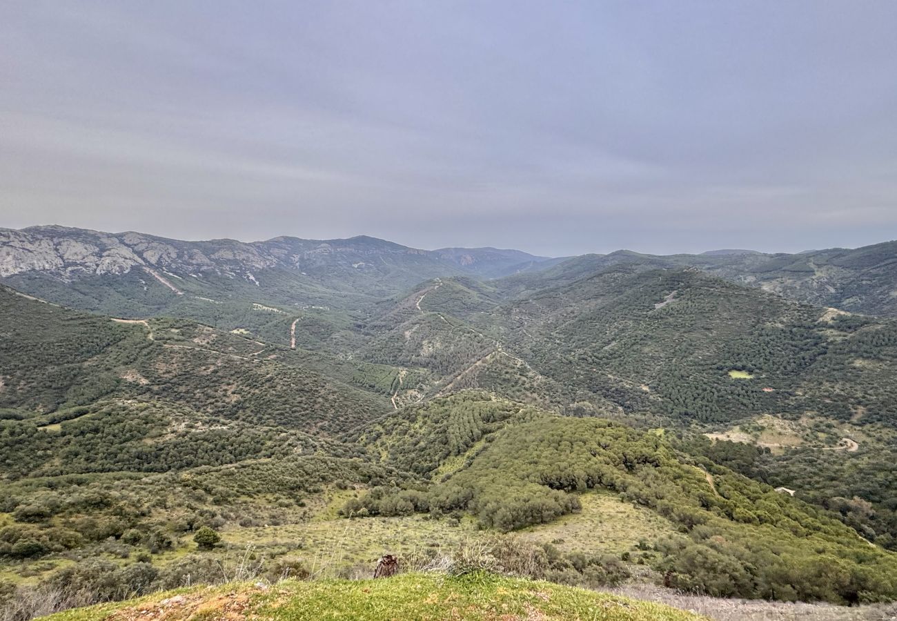 Cottage in Jaén - Nala de StertaM FLATS Jaen