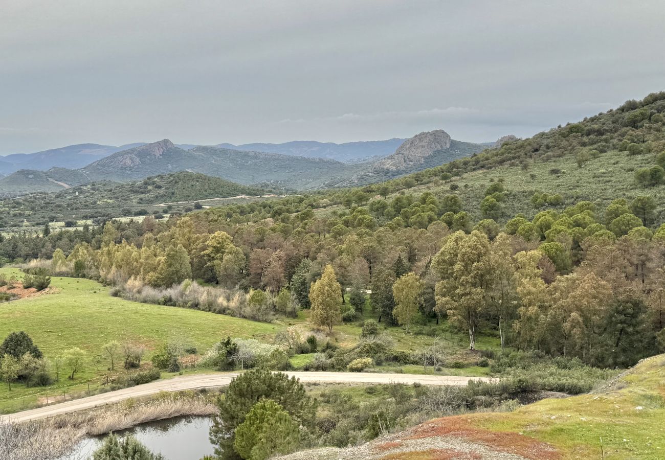Cottage in Jaén - Nala de StertaM FLATS Jaen